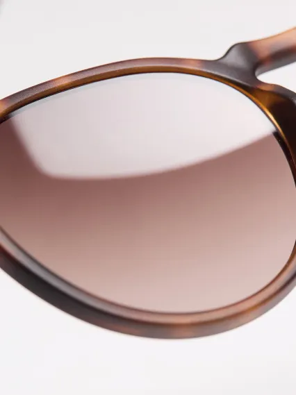 Lunettes EKOI Racing LIFESTYLE RONDES Tortoise Marron dégradé