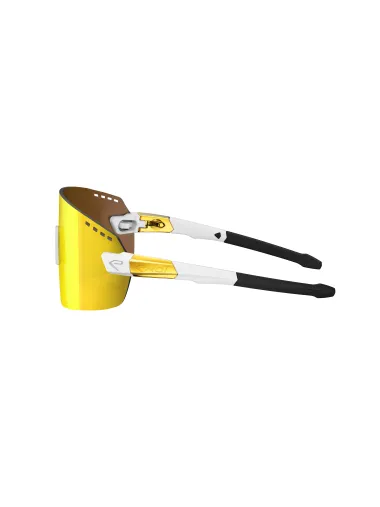 Verre EKOI LUMEN S Revo Gold Cat3